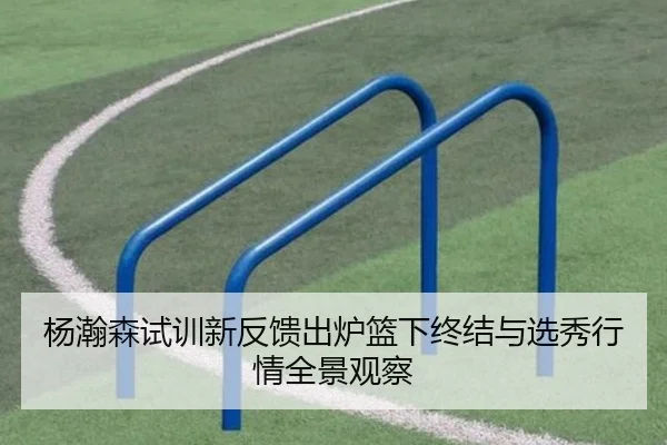 杨瀚森试训新反馈出炉篮下终结与选秀行情全景观察